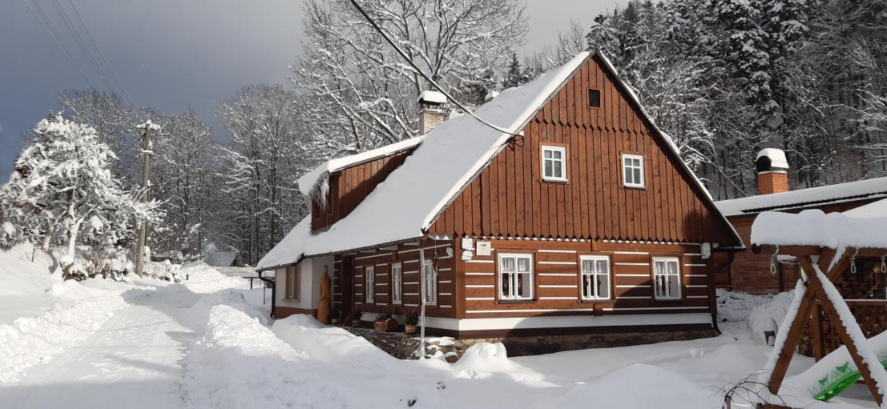 Cista V Krkonosich 8 Černý Důl